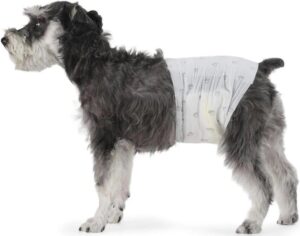 amazon basics dog diapers for male dogs disposable diapers white