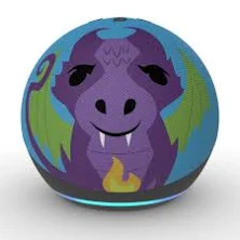 amazon echo dot kids